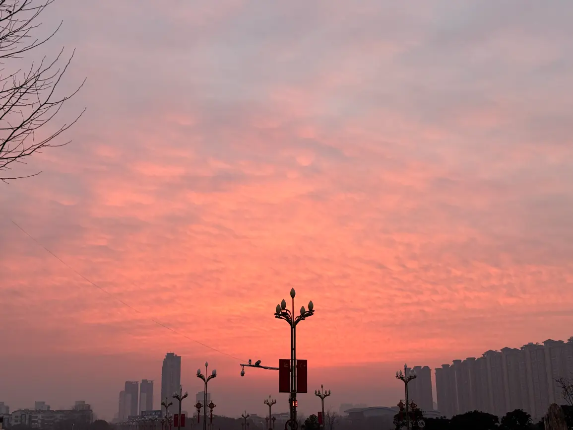 路灯收藏 大量现货